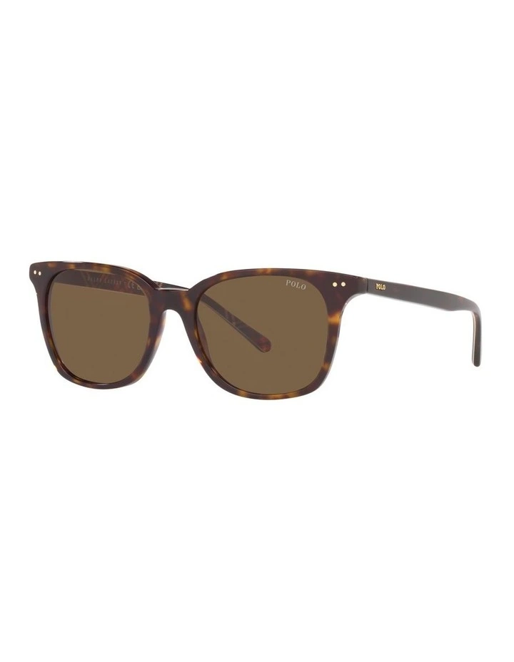 0PH4187 Sunglasses in Dark Havana