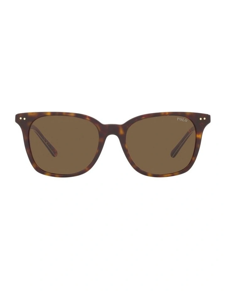 0PH4187 Sunglasses in Dark Havana