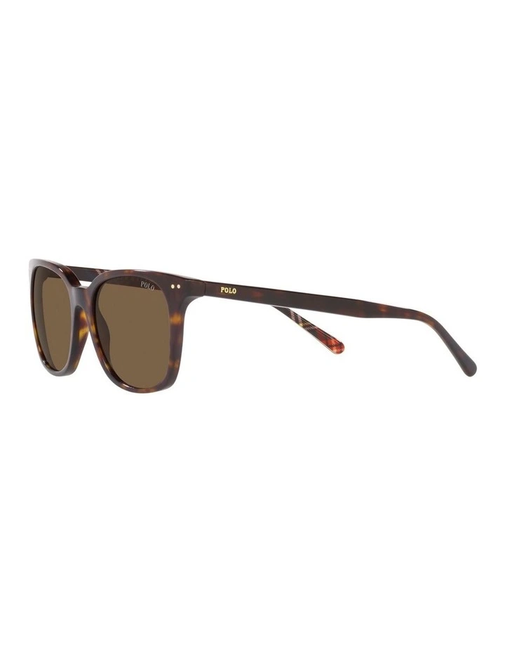 0PH4187 Sunglasses in Dark Havana