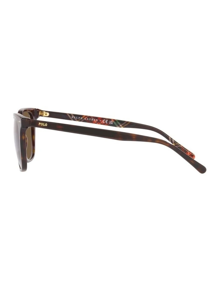 0PH4187 Sunglasses in Dark Havana