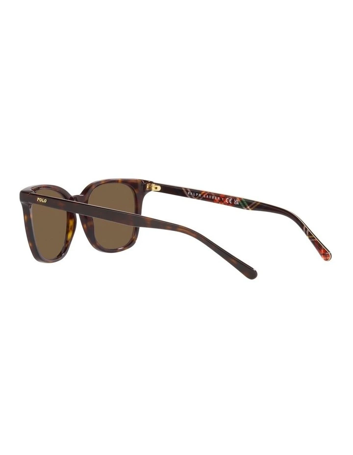 0PH4187 Sunglasses in Dark Havana