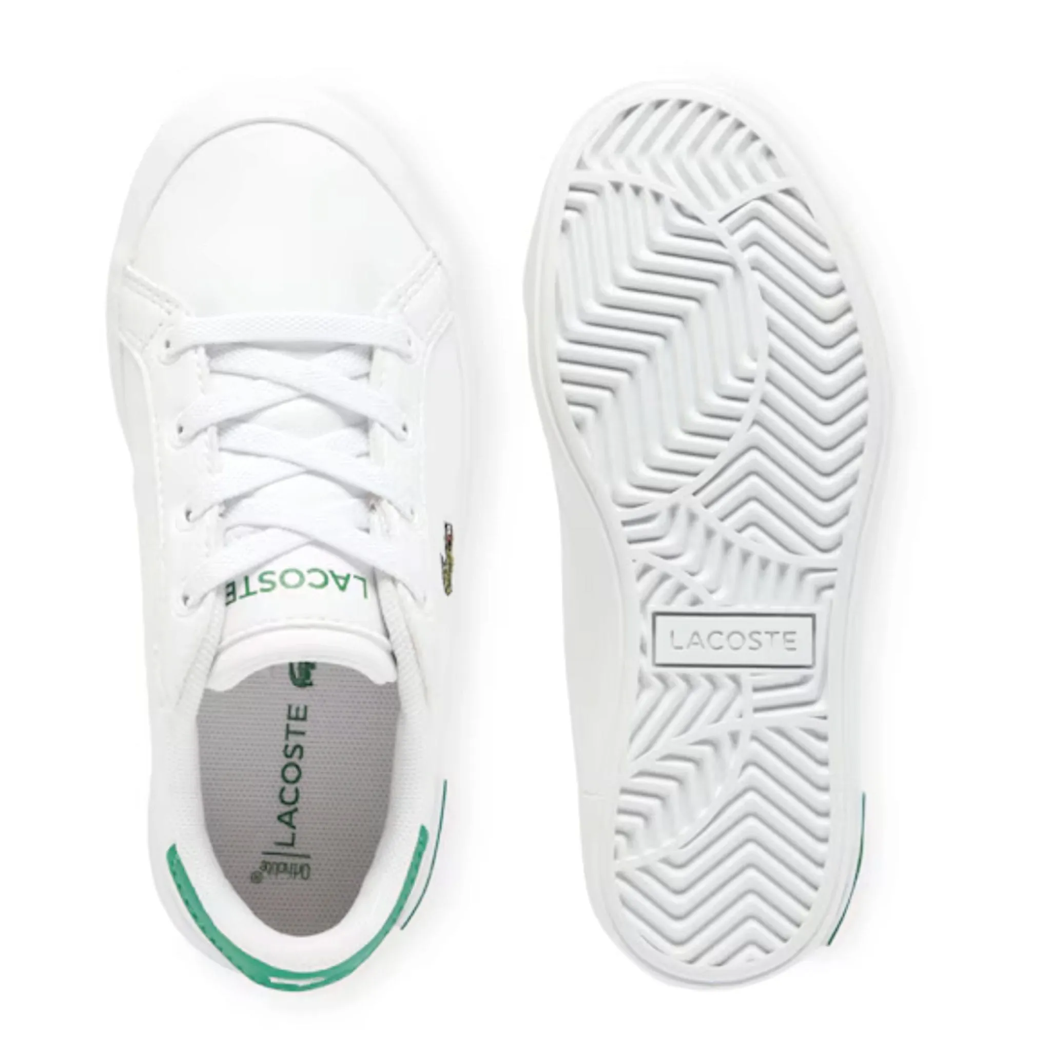 Lacoste Powercourt Sneakers Sizes 4-10  - Clement