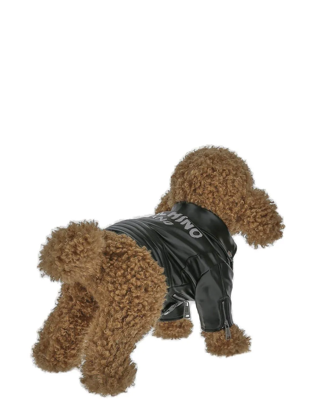 Moschino Logo Printed Dog Biker Jacket