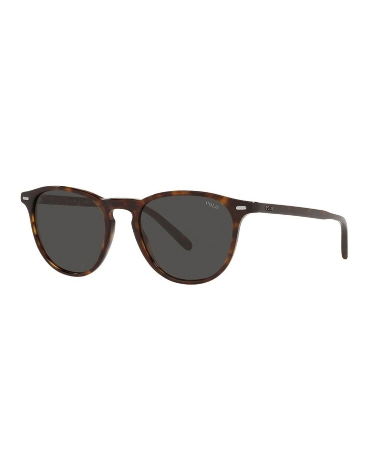 Panto Sunglasses in Brown