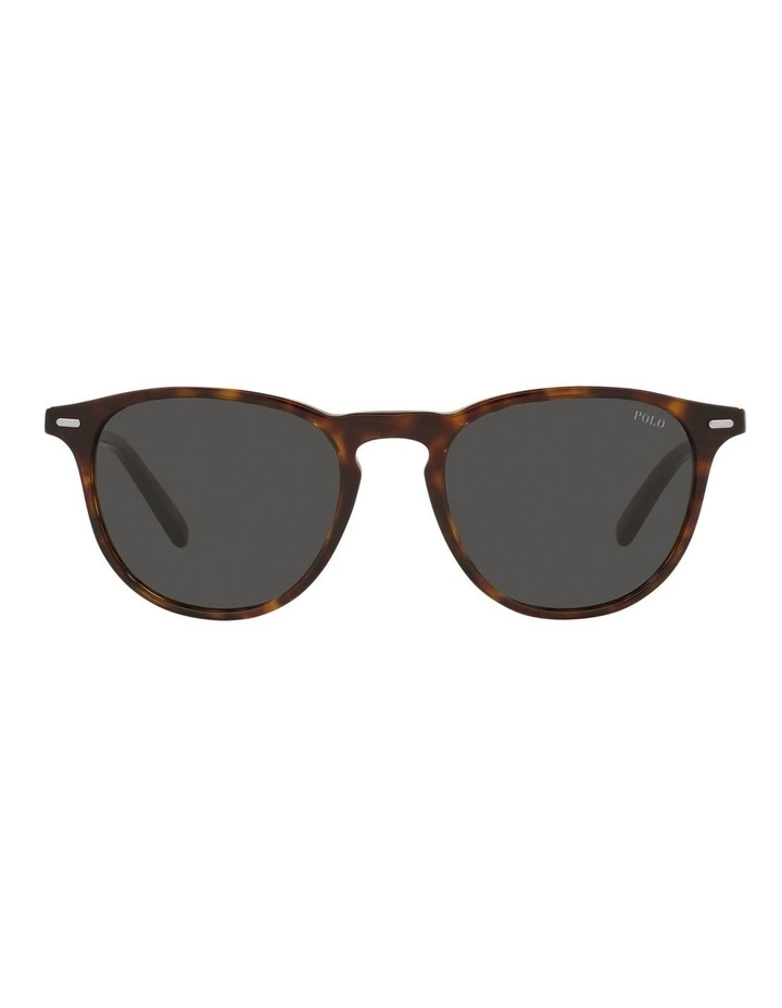 Panto Sunglasses in Brown