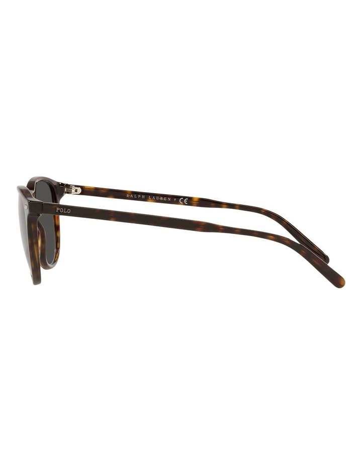 Panto Sunglasses in Brown